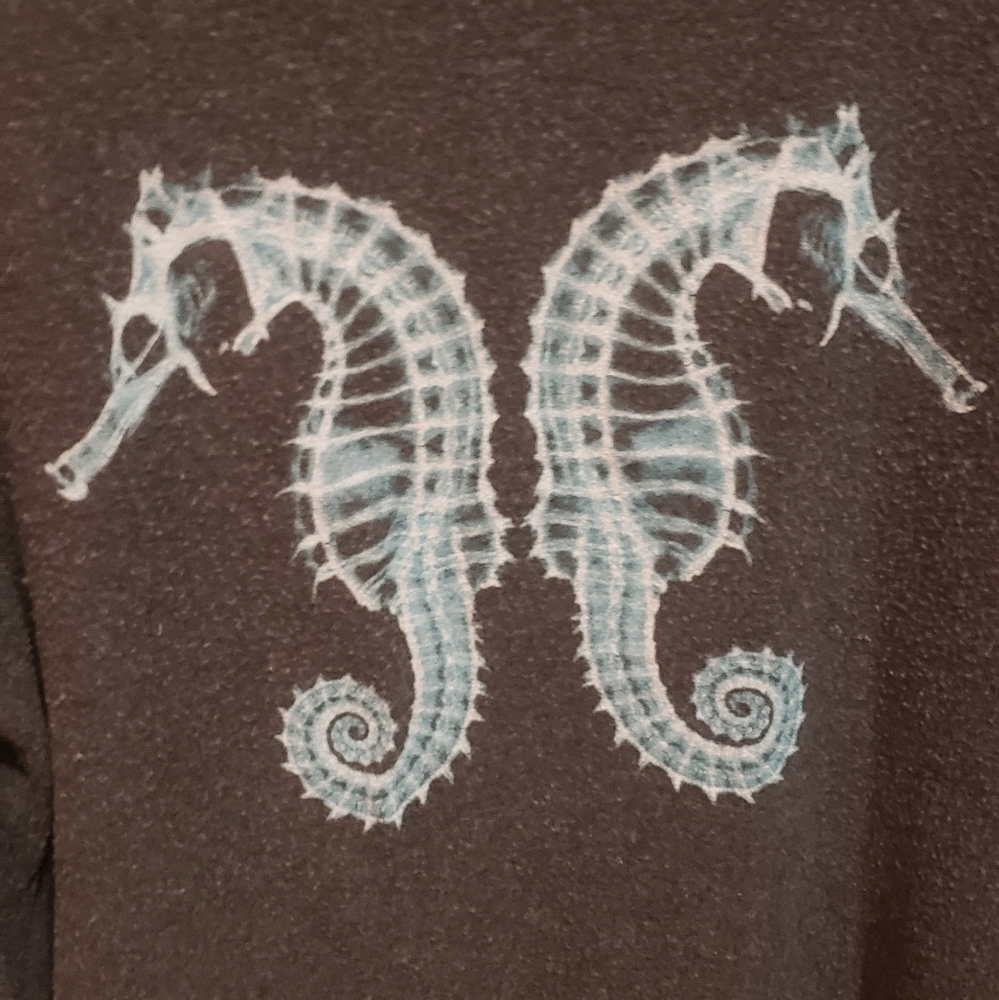 Wildfox Seahorse jumper